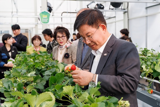 박강수 마포구청장이 ‘마포 스마트팜 체험관’에서 딸기의 생육 상태를 확인하고 있다.jpg