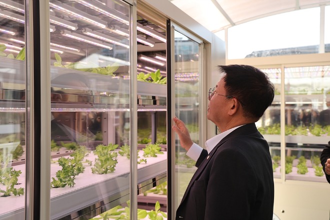 박강수 마포구청장이 서강동 주민센터 옥상에 설치된 스마트팜을 살펴보고 있다.jpg