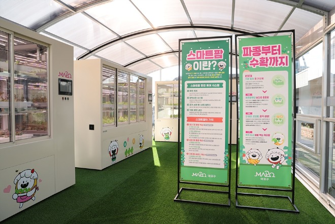 서강동 주민센터 옥상에 설치된 스마트팜.jpg